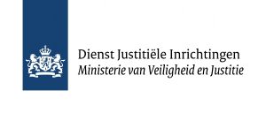 Dienst Vervoer en Ondersteuning IIR